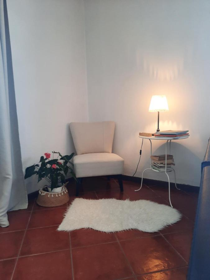 Casa Das Camelias Aveiro Dış mekan fotoğraf